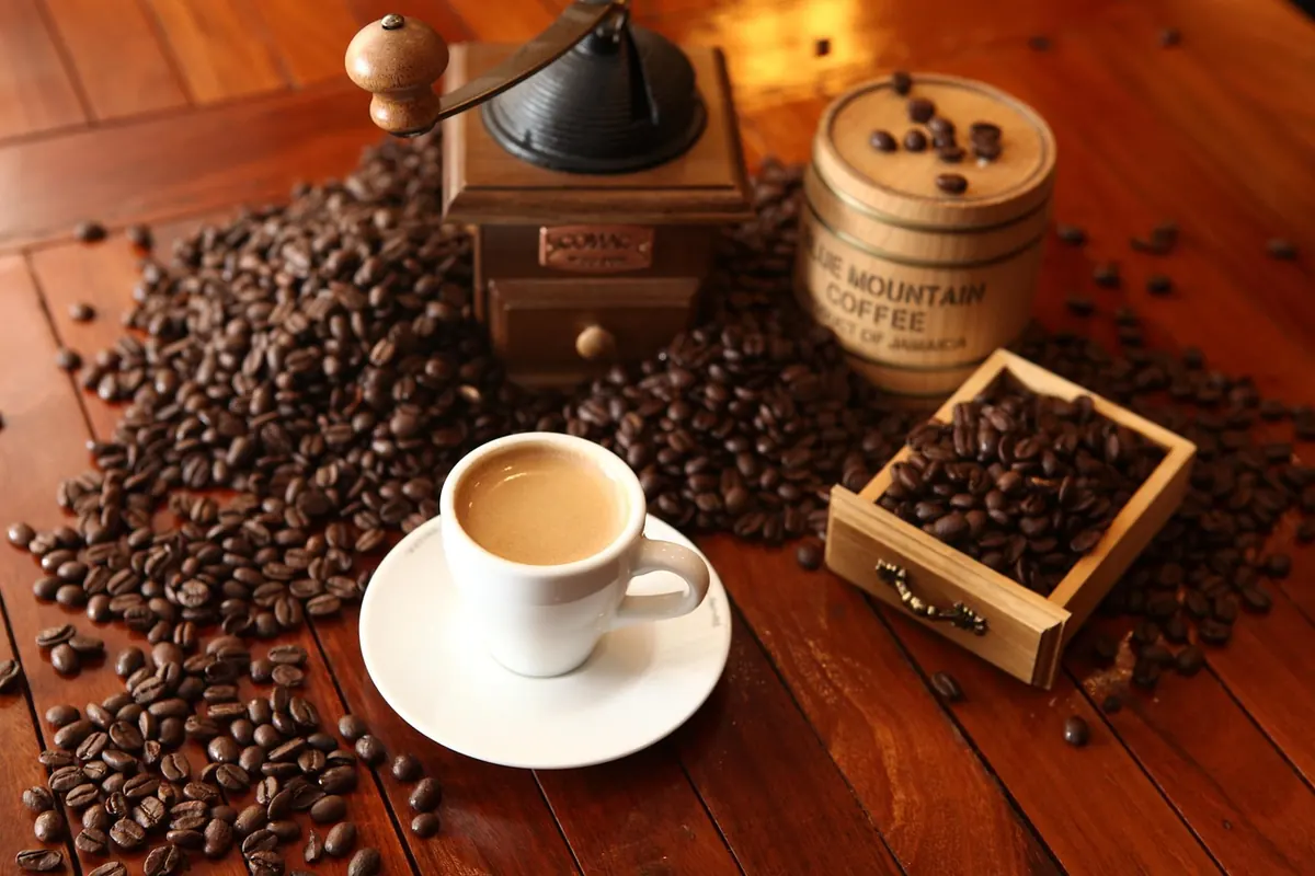 How to Choose a Coffee Grinder: Burr vs. Blade, Budget, and Travel